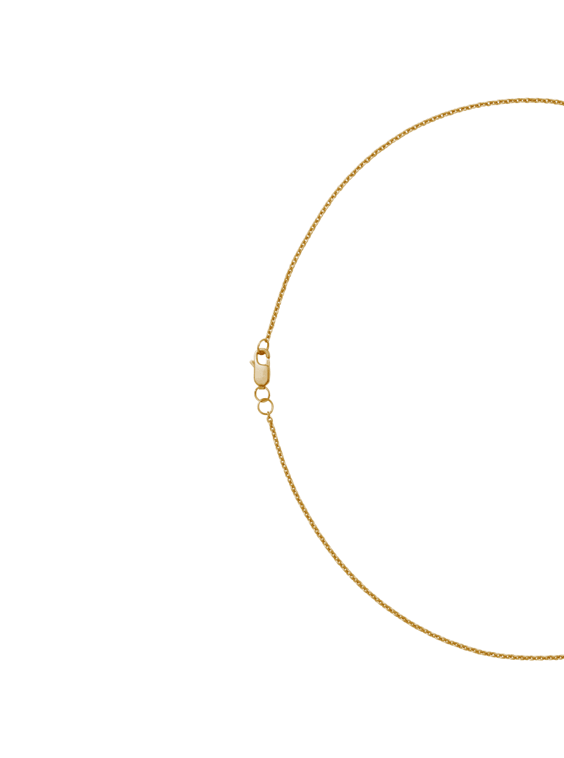 LargeCurve WhiteSapp Gold Side 29411051 c1df 4fb2 a845 124a1fa7565f